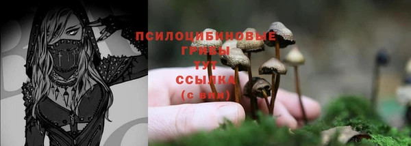 MDMA Premium VHQ Михайловка