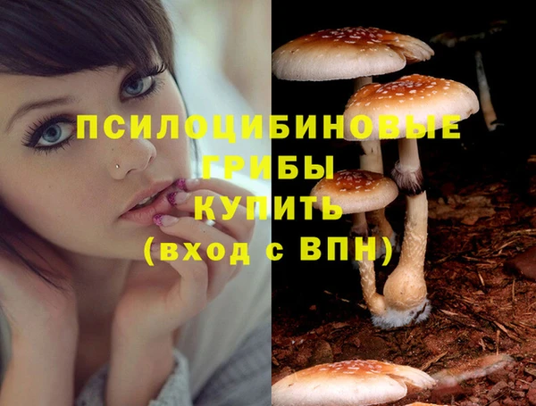 метадон Михайловск