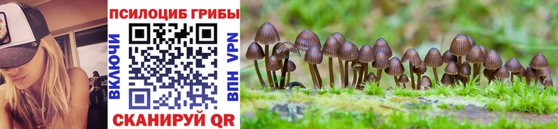 купить наркоту  Севастополь  Галлюциногенные грибы мухоморы 